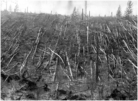 tunguska