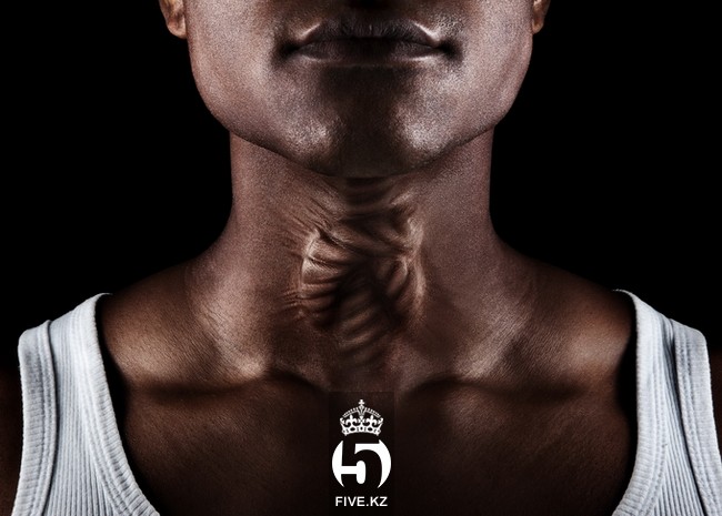 Дизайн-студия Manipula